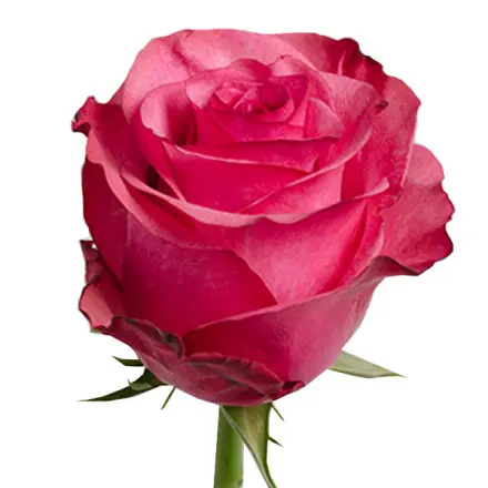 XdKqnFm7Uix1.webp