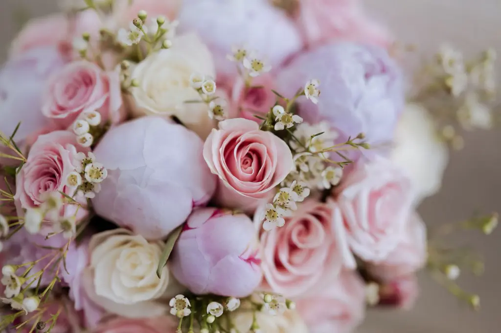 WhatsApp Image 2025-08-19 at 10.40.23 AM (1).webp