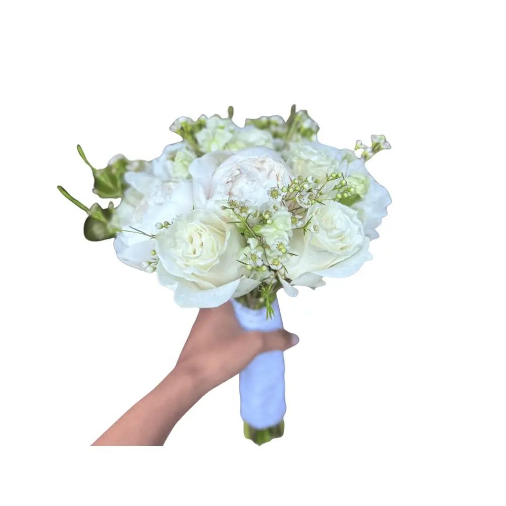 Untitled design (5).webp