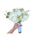 Untitled design (5).webp