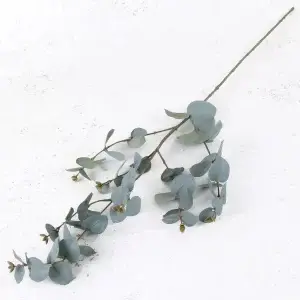 Eucalyptus-Branchy-Blue-300x300.webp