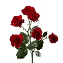 Untitled design (52).webp