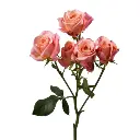 Untitled design (54).webp