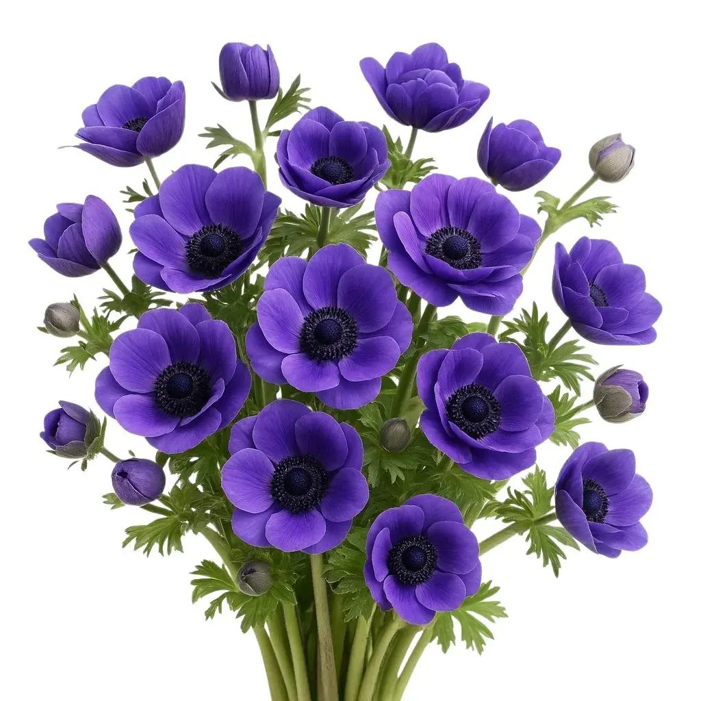 blue-anemones-1.webp