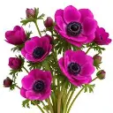 images (2).webp
