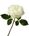 optimized_1760485838_1200x.webp