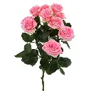 99dbe1a2f7a6470383c61ae16e719355.webp