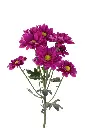 Pompon-VESPA-SLEPNDID-frontal-1024x1536.webp