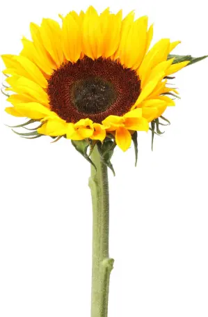 Screenshot 2026-03-24 125007.webp