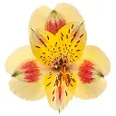 images (1).webp
