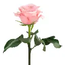 images (6).webp