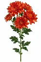 ChatGPT Image Sep 19, 2026, 12_49_11 PM.webp