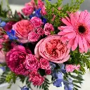 fancy in pink 2.webp