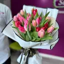 1 2 pink tulips.webp