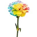 Untitled-500-x-500-px-300x300.webp