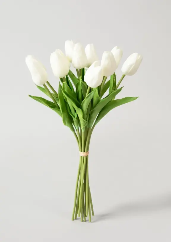 image_2025-04-10_151955666.webp