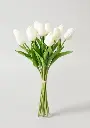 image_2025-04-10_151955666.webp
