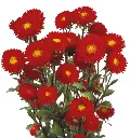 Screenshot 2025-04-10 154411.webp