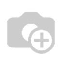 image_2025-04-17_143723983.png