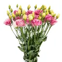 Untitled design (15).webp