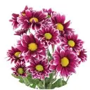 download (5).webp