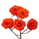 Spray Roses - Orange Lava Sensation.jpg