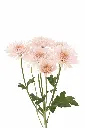 CUSHION-VERITY-PEACHfrontal.webp