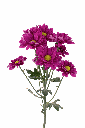 Pompon-VESPA-SLEPNDID-frontal-1980x2970 (1).png