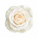 40cm Roses White Vendela