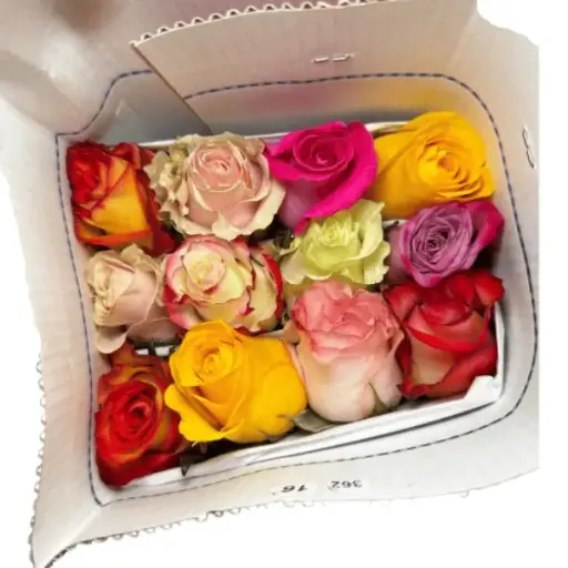 40cm Roses Pre Mixed Pack