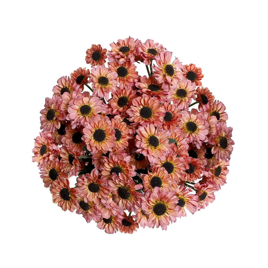 Micropom Dark Smokey Salmon (7st) 