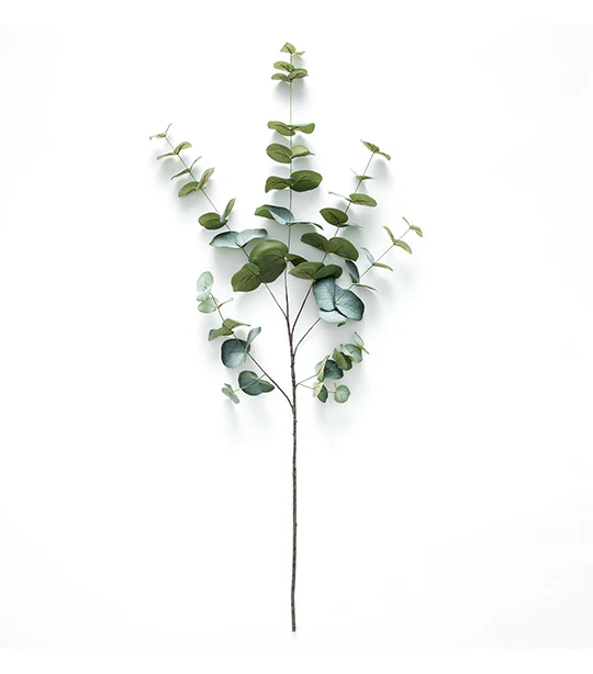 V26 Eucalyptus Branchy Blue 