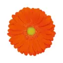 M26 Gerberas Dark Orange