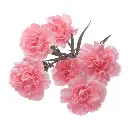 AL26 Mini Carnations Light Pink Rosadita
