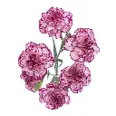 M25 Mini Carnations Purple/White Spectro