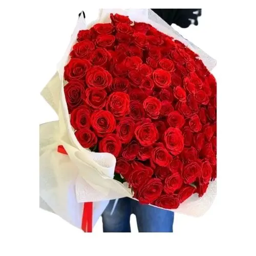 100 Roses Wrapped