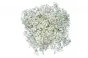 26TH 260g GYP Million Star 