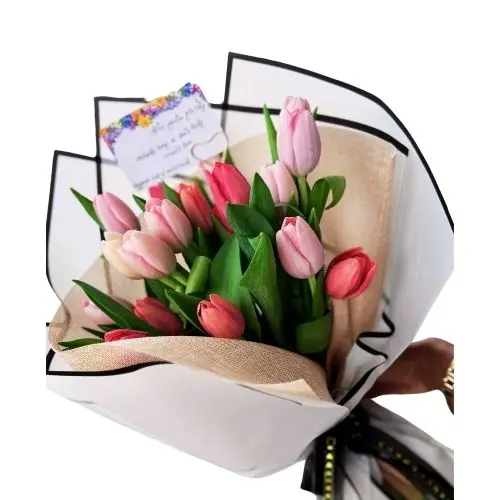 20 Tulips Wrapped