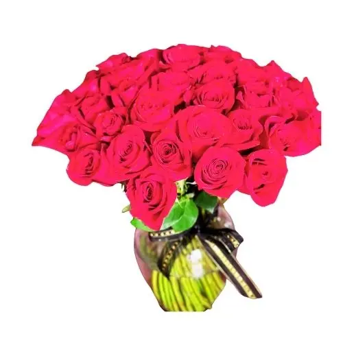 24 Roses In Vase Naked