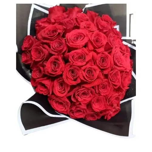Fifty Shades of Love (50 roses)