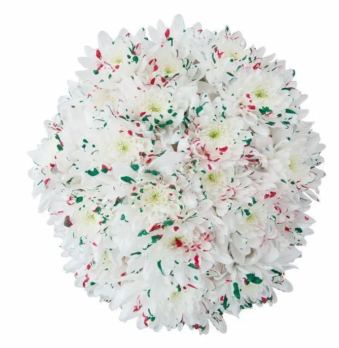 Tinted Chrysanthemums Confetti 