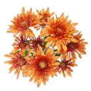 Chrysanthemums Bronze Cooper 