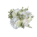 All White Peonies & Roses Bridal Bouquet