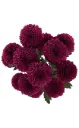 Buttons Purple Parissa
