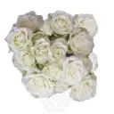 Spray Roses White Floreana 