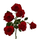 Spray Roses Bright Red Jewel 