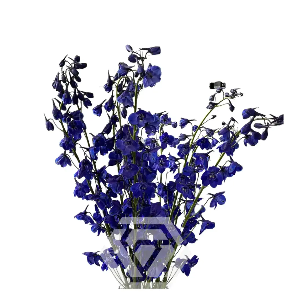 Delphinium Deep Blue Sea 