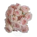 V26 60CM Spray Roses Light Pink Wedding Rosever/Bridal Jewel