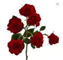 M26 50cm Spray Roses Bright Red Jewel