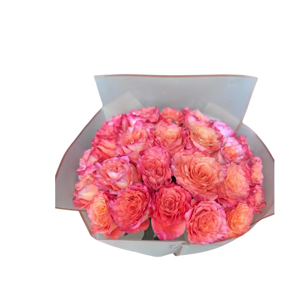 Sunset Sweetheart (25 roses)